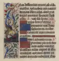 Griffon (fol. 34 v.)