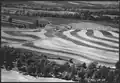 Parcellaire géométriquement adaptées au relief (lutte contre l'érosion), région du haut-Mississippi, Missouri (1942).