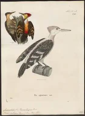 Description de cette image, également commentée ci-après