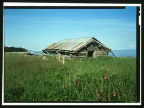 Golovin (Alaska)