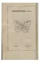 Illustration de l'Introduction à l'histoire naturelle des insectes.