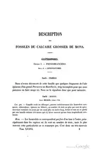 Description des fossiles du calcaire grossier de Mons, Prosobranches, Section A, Siphonostomes, 1871 (avec Alphonse Briart).
